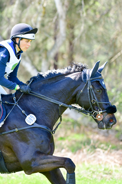 CCIS  Luhmühlen  24.4.2021 | 240421 - CCI _1196 