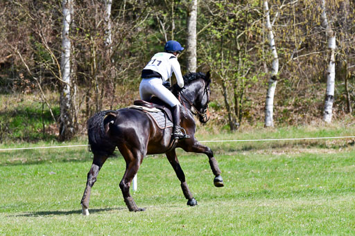 CCIS  Luhmühlen  24.4.2021 | 240421 - CCI _1223 