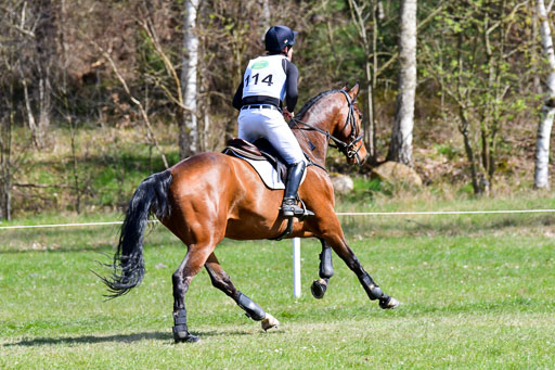 CCIS  Luhmühlen  24.4.2021 | 240421 - CCI _1262 