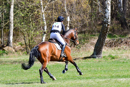 CCIS  Luhmühlen  24.4.2021 | 240421 - CCI _1263 