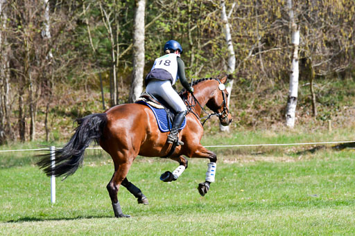 CCIS  Luhmühlen  24.4.2021 | 240421 - CCI _1315 
