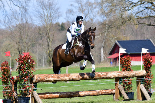 CCIS  Luhmühlen  24.4.2021 | 240421 - CCI _1324 