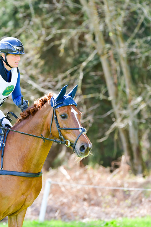 CCIS  Luhmühlen  24.4.2021 | 240421 - CCI _1356 