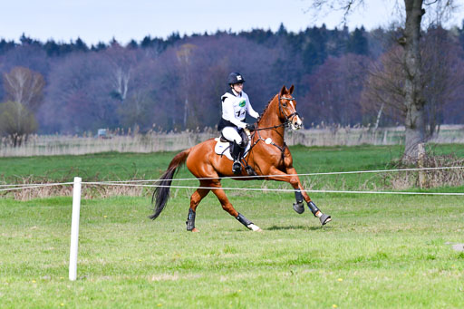 CCIS  Luhmühlen  24.4.2021 | 240421 - CCI _1620 