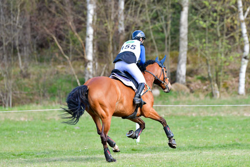 CCIS  Luhmühlen  24.4.2021 | 240421 - CCI _1752 