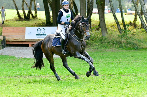 RFV Mechtersen Vögelsen AVielseitigkeit   26.09.2021 | A++ JUN-JR _008 
