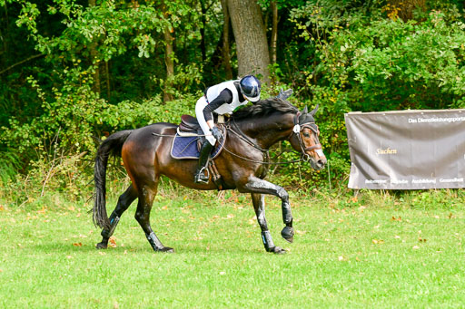 RFV Mechtersen Vögelsen AVielseitigkeit   26.09.2021 | A++ JUN-JR _013 
