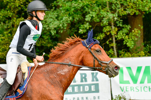 RFV Mechtersen Vögelsen AVielseitigkeit   26.09.2021 | A++ JUN-JR _203 