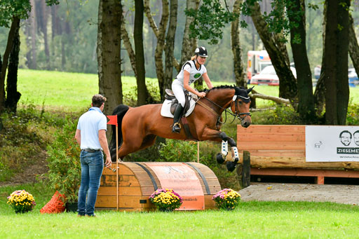 RFV Mechtersen Vögelsen  VA  26.09.2021 | A++  REI 1-4 