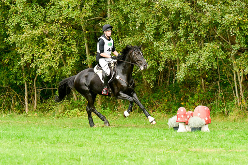 RFV Mechtersen Vögelsen  VA  26.09.2021 | A++  REI 1-4_133 