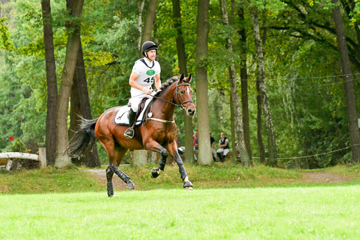 RFV Mechtersen Vögelsen  VA  26.09.2021 | A++  REI 1-4_164 