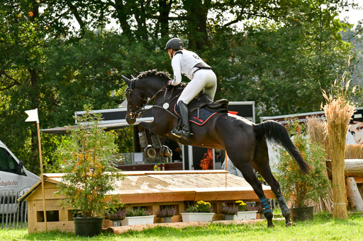 RFV Mechtersen Vögelsen  VA  26.09.2021 | A++  REI 1-4_194 