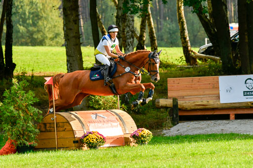 RFV Mechtersen Vögelsen  VA  26.09.2021 | A++  REI 1-4_331 