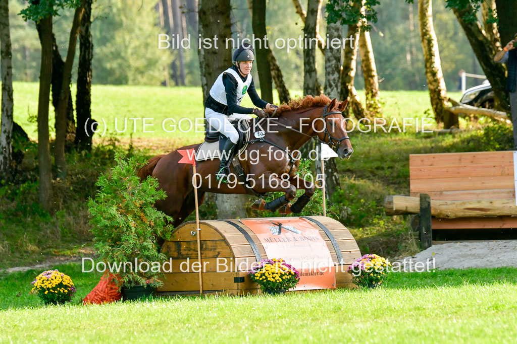 RFV Mechtersen Vögelsen  VA  26.09.2021 | A++  REI  LK 5-6_063 