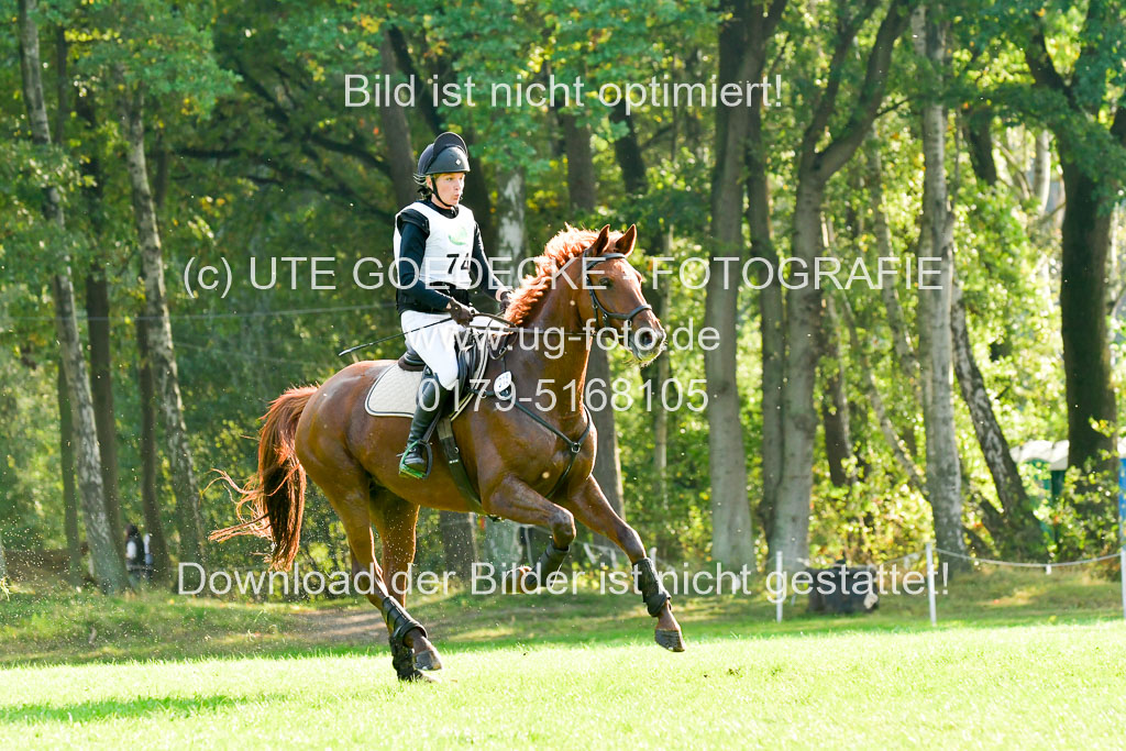 RFV Mechtersen Vögelsen  VA  26.09.2021 | A++  REI  LK 5-6_066 