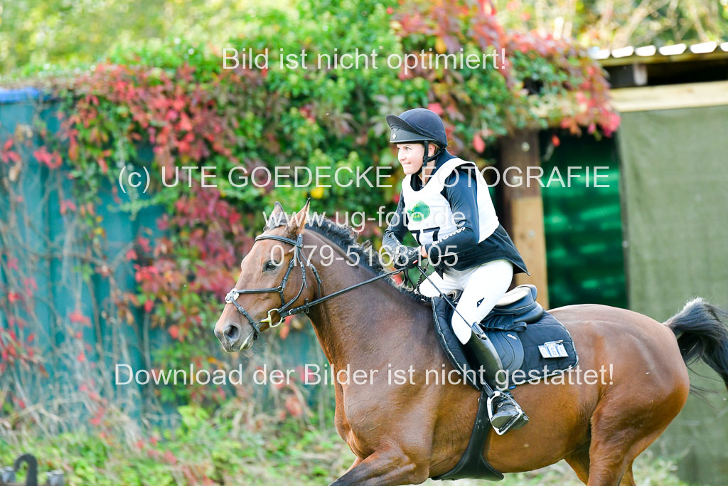 RFV Mechtersen Vögelsen  VA  26.09.2021 | A++  REI  LK 5-6_084 