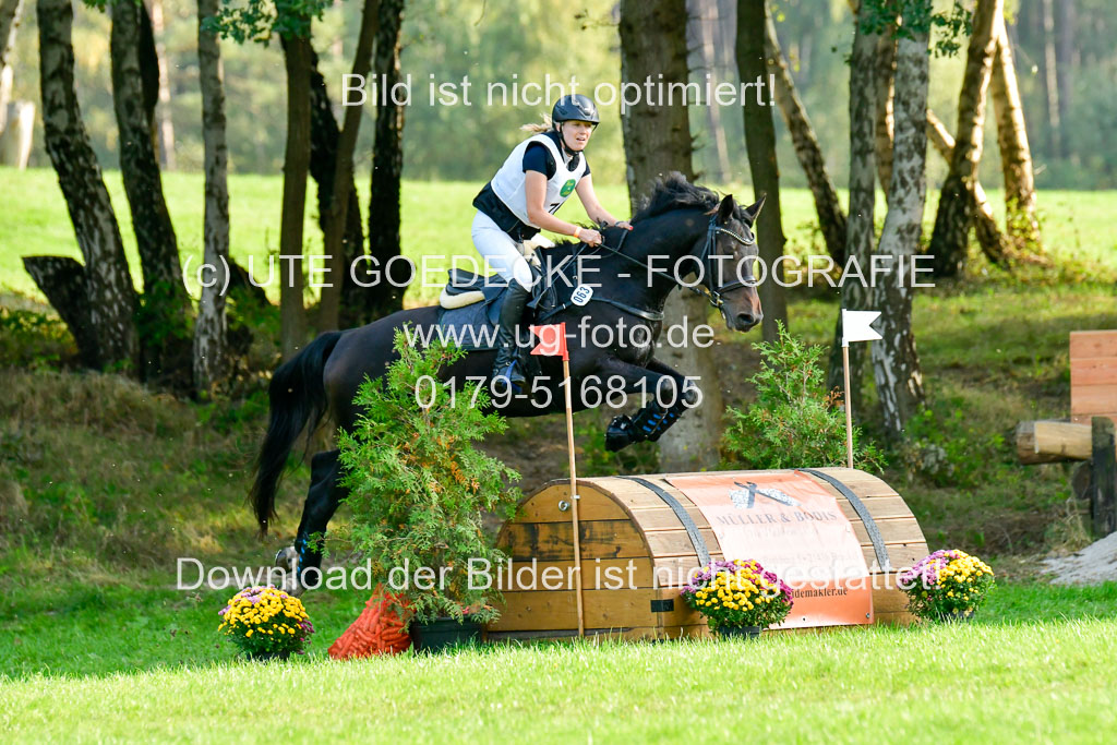 RFV Mechtersen Vögelsen  VA  26.09.2021 | A++  REI  LK 5-6_087 