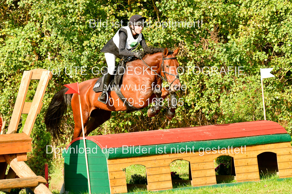 RFV Mechtersen Vögelsen  VA  26.09.2021 | A++  REI  LK 5-6_115 