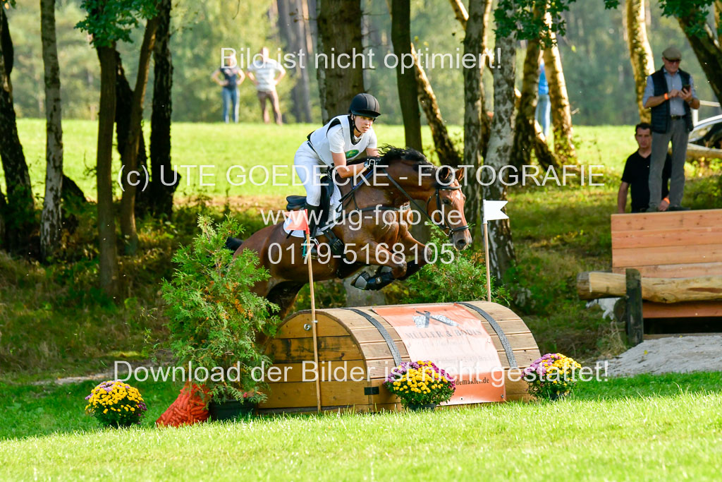 RFV Mechtersen Vögelsen  VA  26.09.2021 | A++  REI  LK 5-6_126 