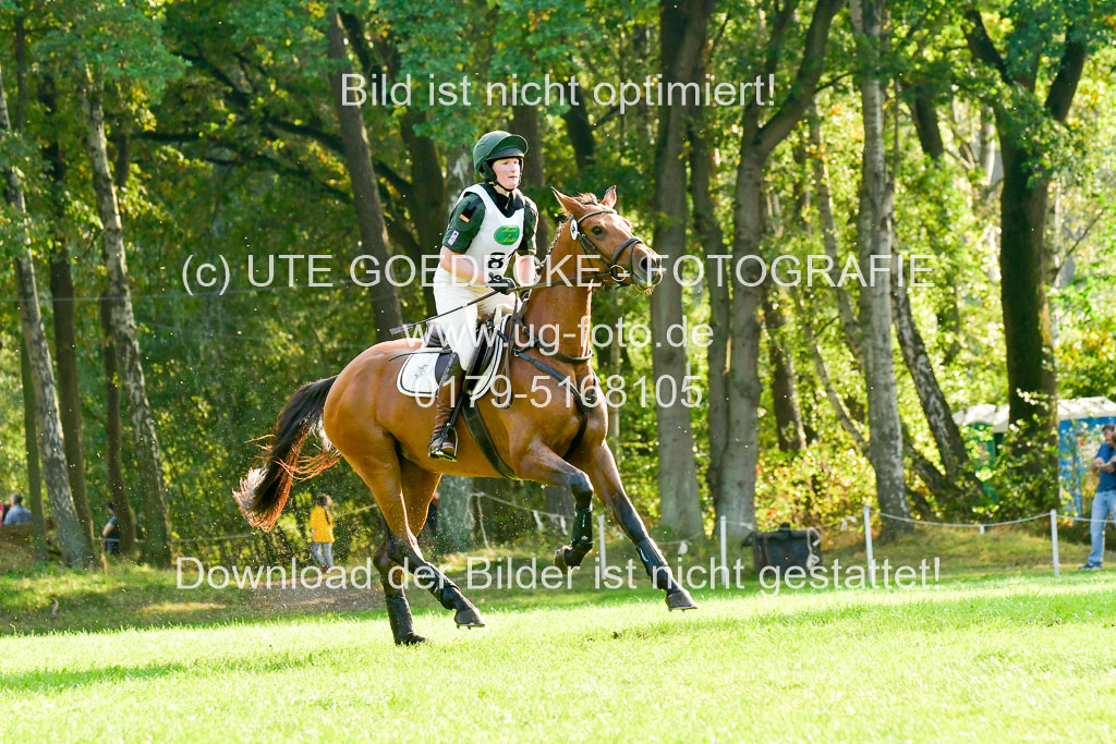 RFV Mechtersen Vögelsen  VA  26.09.2021 | A++  REI  LK 5-6_152 