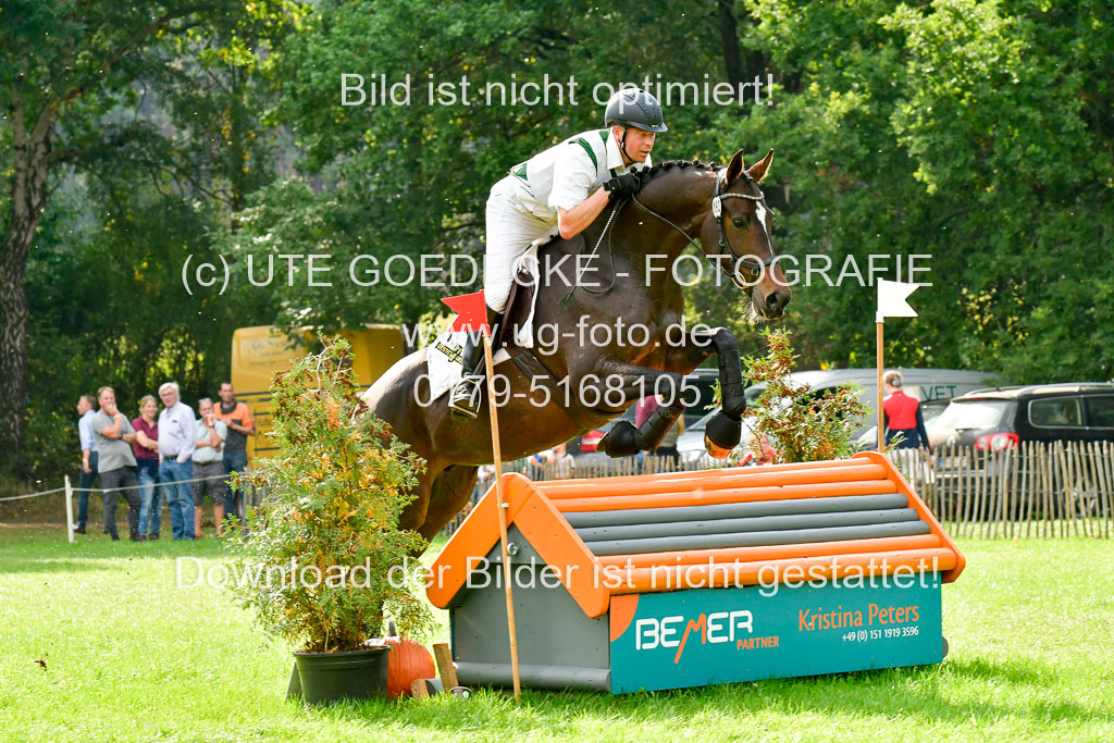 RFV Mechtersen Vögelsen  VARFV Mechtersen Vögelsen  VA  26.09.2021RFV Mechtersen Vögelsen  VA  26.09.2021  26.09.2021 | A++  REI  LK 5-6_182 