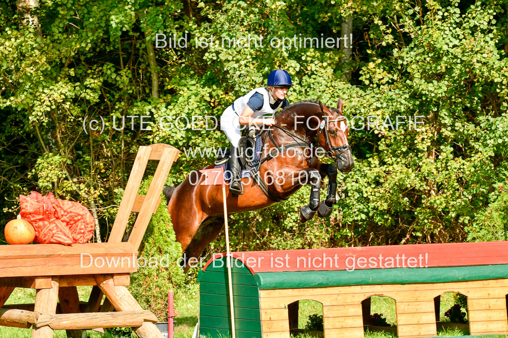 RFV Mechtersen Vögelsen  VARFV Mechtersen Vögelsen  VA  26.09.2021RFV Mechtersen Vögelsen  VA  26.09.2021  26.09.2021 | A++  REI  LK 5-6_204 