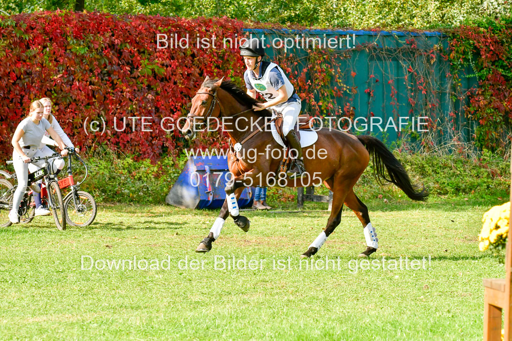 RFV Mechtersen Vögelsen VARFV Mechtersen Vögelsen VA 26.09.2021RFV Mechtersen Vögelsen VA 26.09.2021 26.09.2021 | A++ REI LK 5-6_207