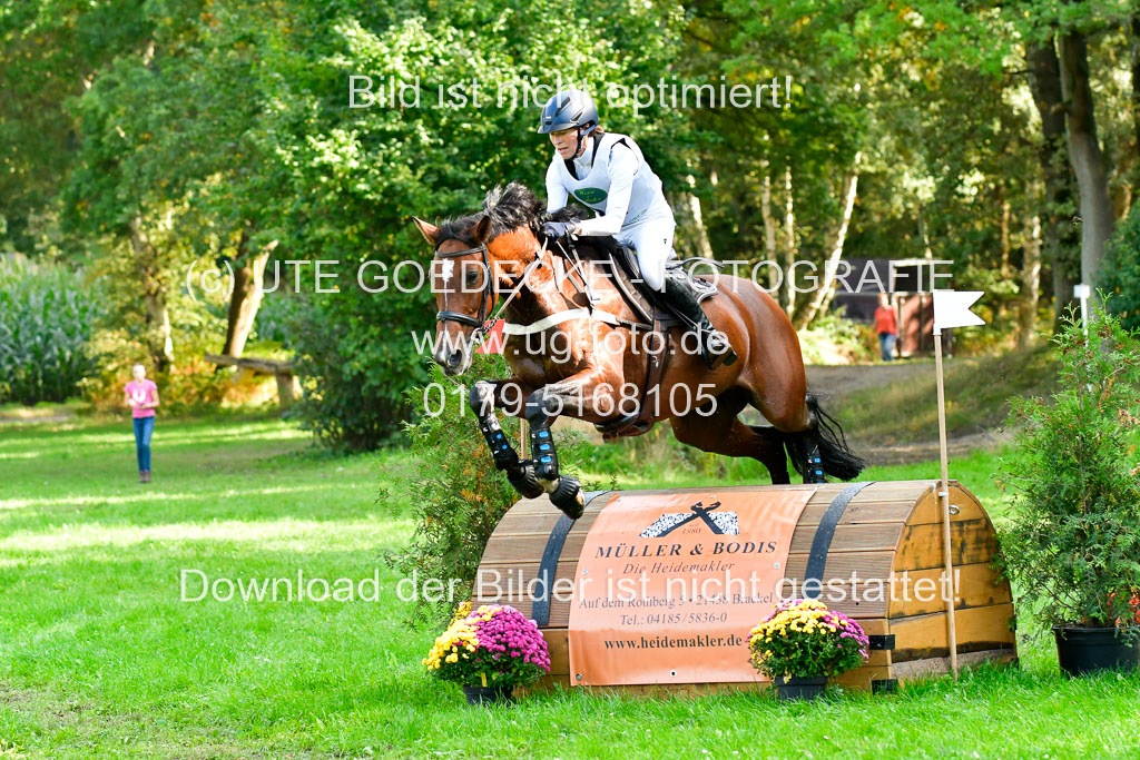 RFV Mechtersen Vögelsen  VARFV Mechtersen Vögelsen  VA  26.09.2021RFV Mechtersen Vögelsen  VA  26.09.2021  26.09.2021 | A++  REI  LK 5-6_212 