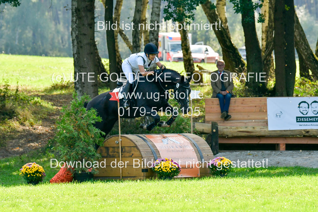 RFV Mechtersen Vögelsen  VARFV Mechtersen Vögelsen  VA  26.09.2021RFV Mechtersen Vögelsen  VA  26.09.2021  26.09.2021 | A++  REI  LK 5-6_224 