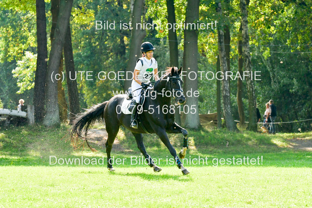 RFV Mechtersen Vögelsen  VARFV Mechtersen Vögelsen  VA  26.09.2021RFV Mechtersen Vögelsen  VA  26.09.2021  26.09.2021 | A++  REI  LK 5-6_225 