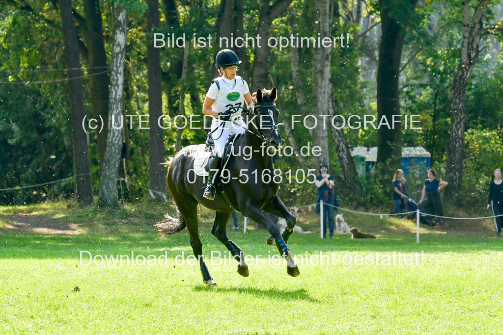 RFV Mechtersen Vögelsen  VARFV Mechtersen Vögelsen  VA  26.09.2021RFV Mechtersen Vögelsen  VA  26.09.2021  26.09.2021 | A++  REI  LK 5-6_227 