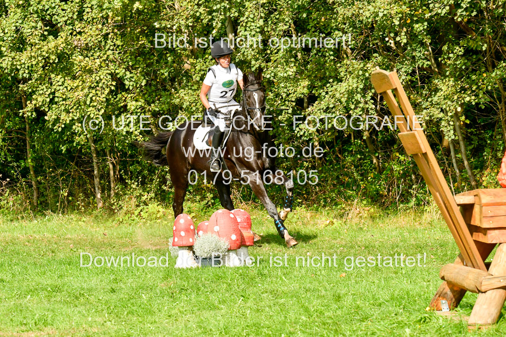 RFV Mechtersen Vögelsen  VARFV Mechtersen Vögelsen  VA  26.09.2021RFV Mechtersen Vögelsen  VA  26.09.2021  26.09.2021 | A++  REI  LK 5-6_234 