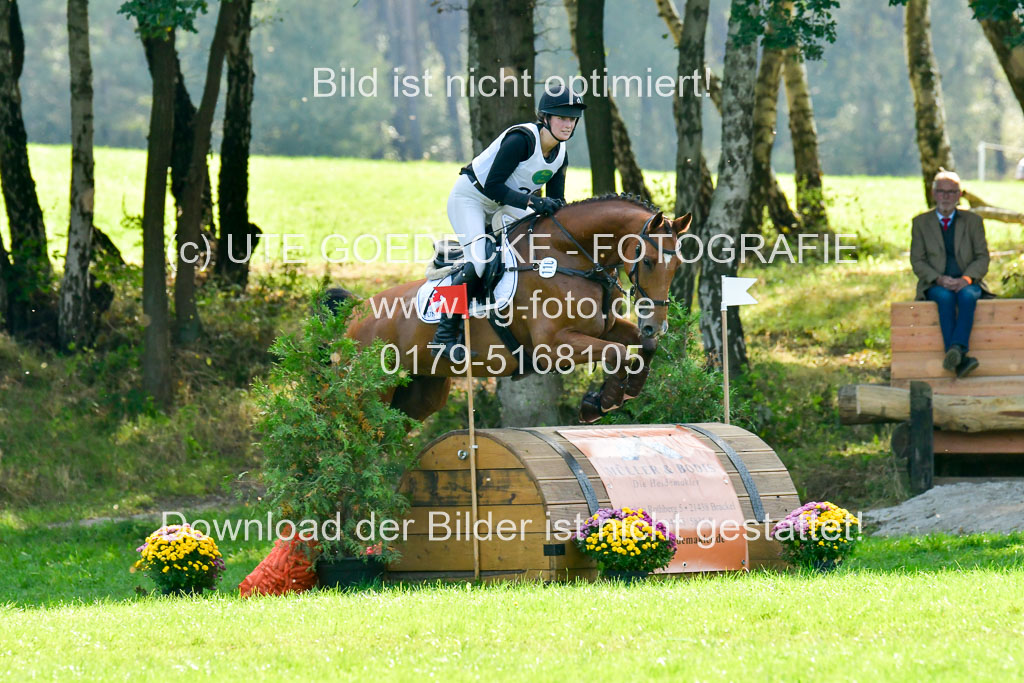 RFV Mechtersen Vögelsen  VARFV Mechtersen Vögelsen  VA  26.09.2021RFV Mechtersen Vögelsen  VA  26.09.2021  26.09.2021 | A++  REI  LK 5-6_238 