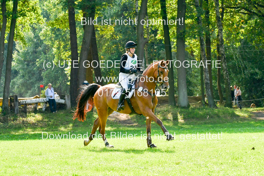 RFV Mechtersen Vögelsen  VARFV Mechtersen Vögelsen  VA  26.09.2021RFV Mechtersen Vögelsen  VA  26.09.2021  26.09.2021 | A++  REI  LK 5-6_241 