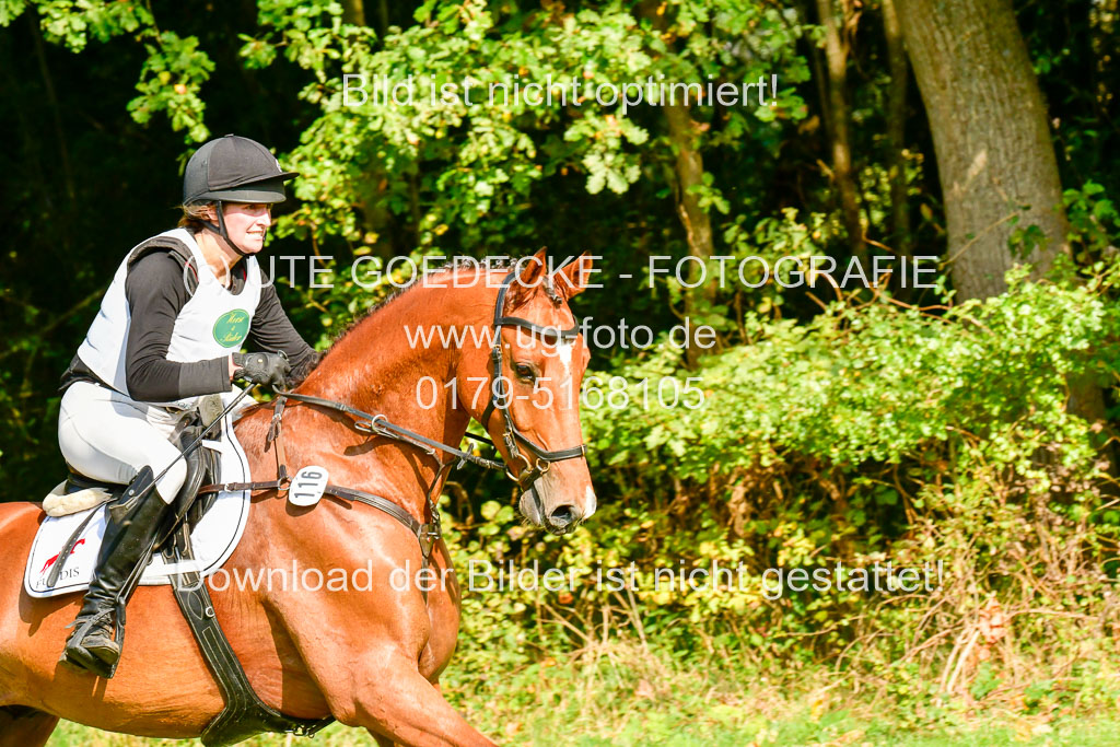 RFV Mechtersen Vögelsen  VARFV Mechtersen Vögelsen  VA  26.09.2021RFV Mechtersen Vögelsen  VA  26.09.2021  26.09.2021 | A++  REI  LK 5-6_252 