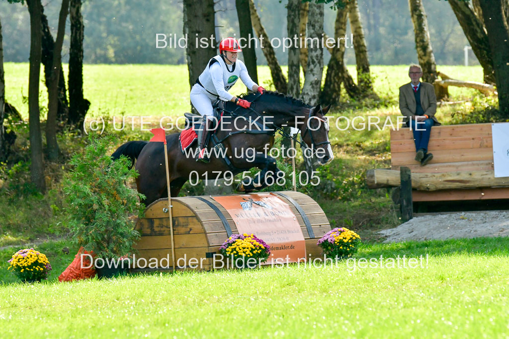RFV Mechtersen Vögelsen  VARFV Mechtersen Vögelsen  VA  26.09.2021RFV Mechtersen Vögelsen  VA  26.09.2021  26.09.2021 | A++  REI  LK 5-6_255 