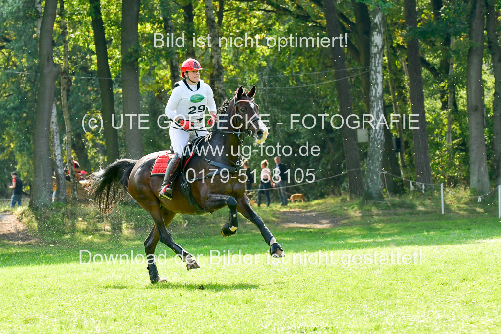 RFV Mechtersen Vögelsen  VARFV Mechtersen Vögelsen  VA  26.09.2021RFV Mechtersen Vögelsen  VA  26.09.2021  26.09.2021 | A++  REI  LK 5-6_259 