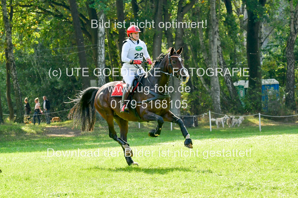 RFV Mechtersen Vögelsen  VARFV Mechtersen Vögelsen  VA  26.09.2021RFV Mechtersen Vögelsen  VA  26.09.2021  26.09.2021 | A++  REI  LK 5-6_260 