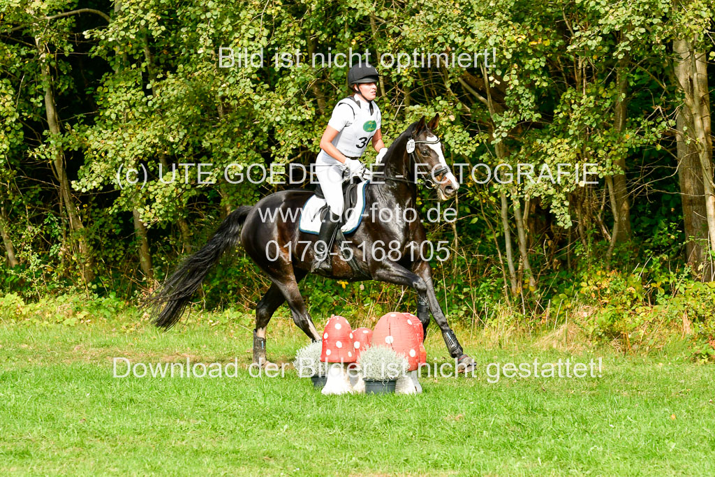 RFV Mechtersen Vögelsen  VARFV Mechtersen Vögelsen  VA  26.09.2021RFV Mechtersen Vögelsen  VA  26.09.2021  26.09.2021 | A++  REI  LK 5-6_275 