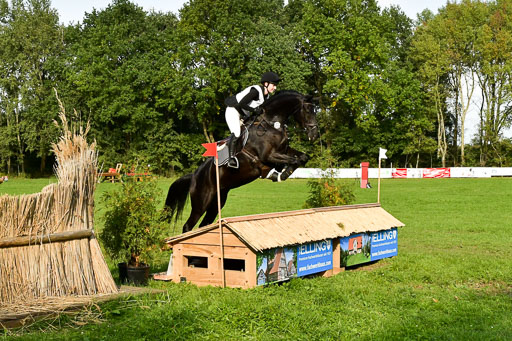 RFV Mechtersen Vögelsen  VA  26.09.2021 | A++  REI  LK 5-6 