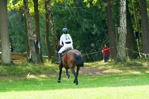 RFV Mechtersen Vögelsen  VARFV Mechtersen Vögelsen  VA  26.09.2021RFV Mechtersen Vögelsen  VA  26.09.2021  26.09.2021 | A++  REI  LK 5-6_192 