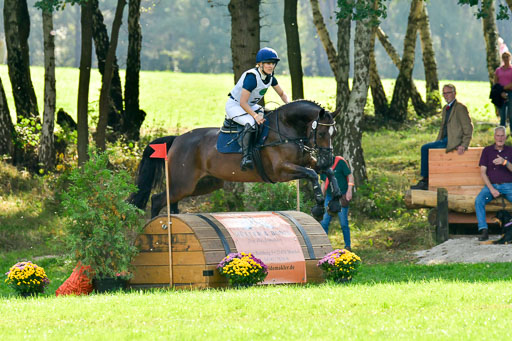 RFV Mechtersen Vögelsen  VARFV Mechtersen Vögelsen  VA  26.09.2021RFV Mechtersen Vögelsen  VA  26.09.2021  26.09.2021 | A++  REI  LK 5-6_194 