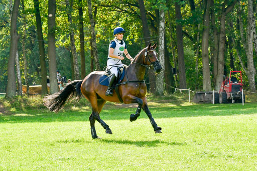 RFV Mechtersen Vögelsen  VARFV Mechtersen Vögelsen  VA  26.09.2021RFV Mechtersen Vögelsen  VA  26.09.2021  26.09.2021 | A++  REI  LK 5-6_198 