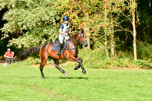 RFV Mechtersen Vögelsen  VARFV Mechtersen Vögelsen  VA  26.09.2021RFV Mechtersen Vögelsen  VA  26.09.2021  26.09.2021 | A++  REI  LK 5-6_202 