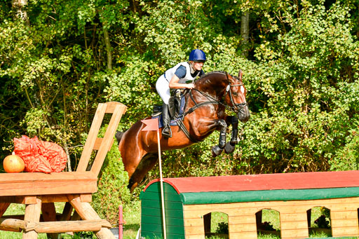 RFV Mechtersen Vögelsen  VARFV Mechtersen Vögelsen  VA  26.09.2021RFV Mechtersen Vögelsen  VA  26.09.2021  26.09.2021 | A++  REI  LK 5-6_204 