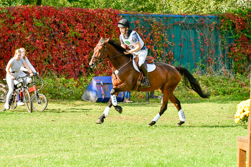 RFV Mechtersen Vögelsen  VARFV Mechtersen Vögelsen  VA  26.09.2021RFV Mechtersen Vögelsen  VA  26.09.2021  26.09.2021 | A++  REI  LK 5-6_207 