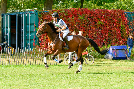 RFV Mechtersen Vögelsen  VARFV Mechtersen Vögelsen  VA  26.09.2021RFV Mechtersen Vögelsen  VA  26.09.2021  26.09.2021 | A++  REI  LK 5-6_208 