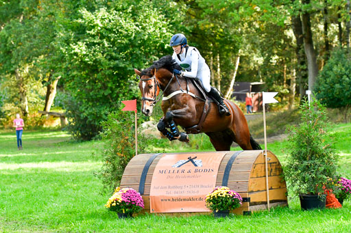 RFV Mechtersen Vögelsen  VARFV Mechtersen Vögelsen  VA  26.09.2021RFV Mechtersen Vögelsen  VA  26.09.2021  26.09.2021 | A++  REI  LK 5-6_211 