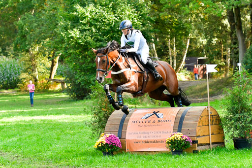 RFV Mechtersen Vögelsen  VARFV Mechtersen Vögelsen  VA  26.09.2021RFV Mechtersen Vögelsen  VA  26.09.2021  26.09.2021 | A++  REI  LK 5-6_212 