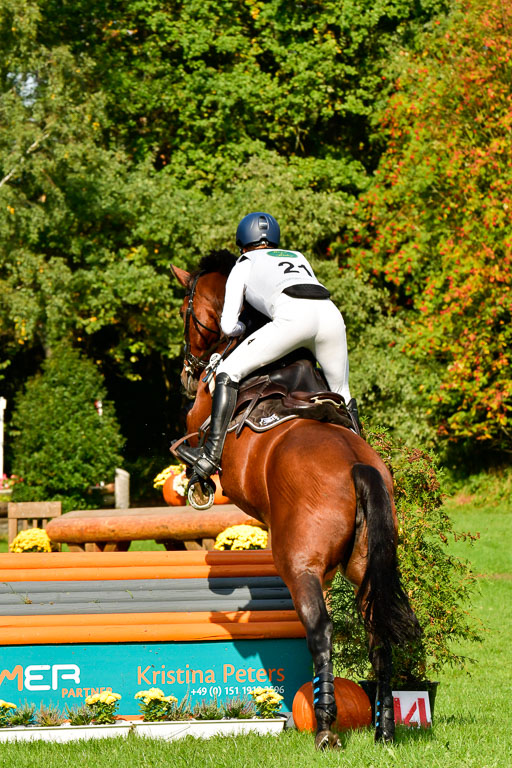 RFV Mechtersen Vögelsen  VARFV Mechtersen Vögelsen  VA  26.09.2021RFV Mechtersen Vögelsen  VA  26.09.2021  26.09.2021 | A++  REI  LK 5-6_213 